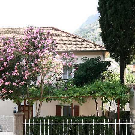 House 561 Appartement Kotor Buitenkant foto